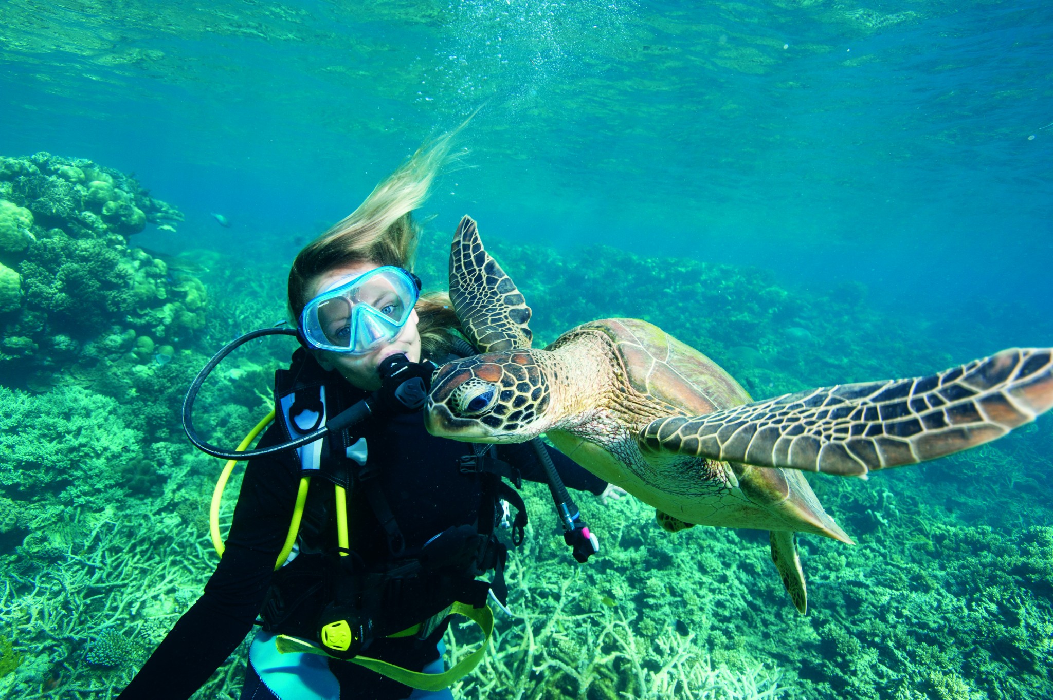 4_diving_with_turtle_.jpg
