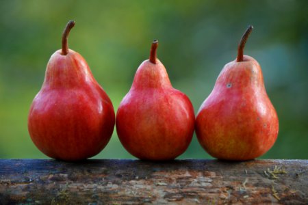 University study finds eating pears reduces risk of heart disease