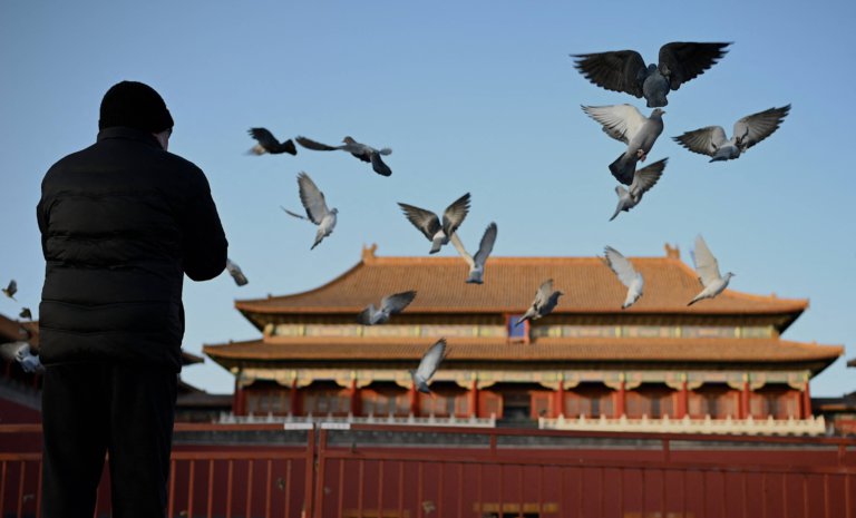 China kicks off international scholarships to boost education in Silk Road region