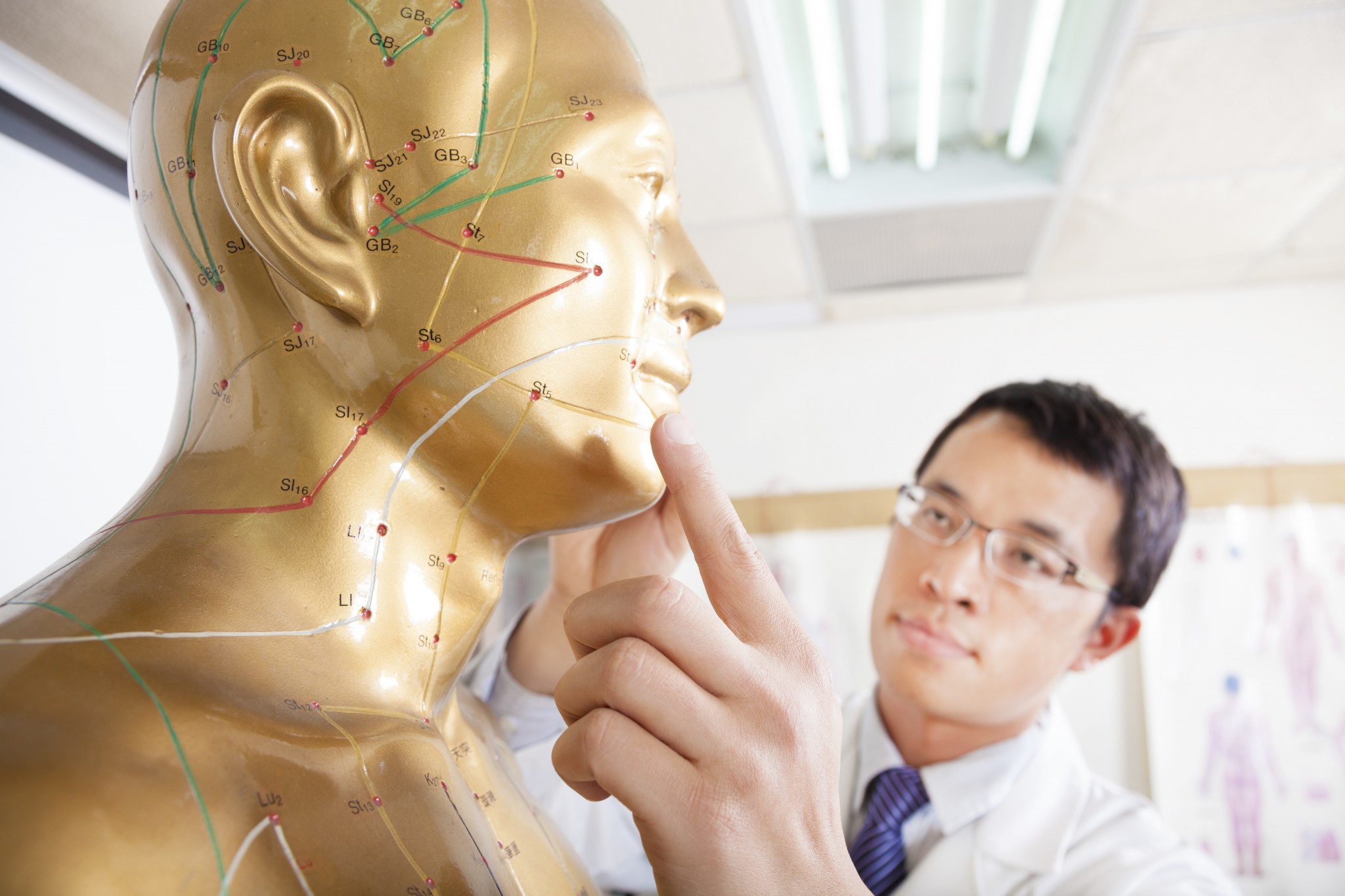 Interest in studying Traditional Chinese Medicine on the rise among international students