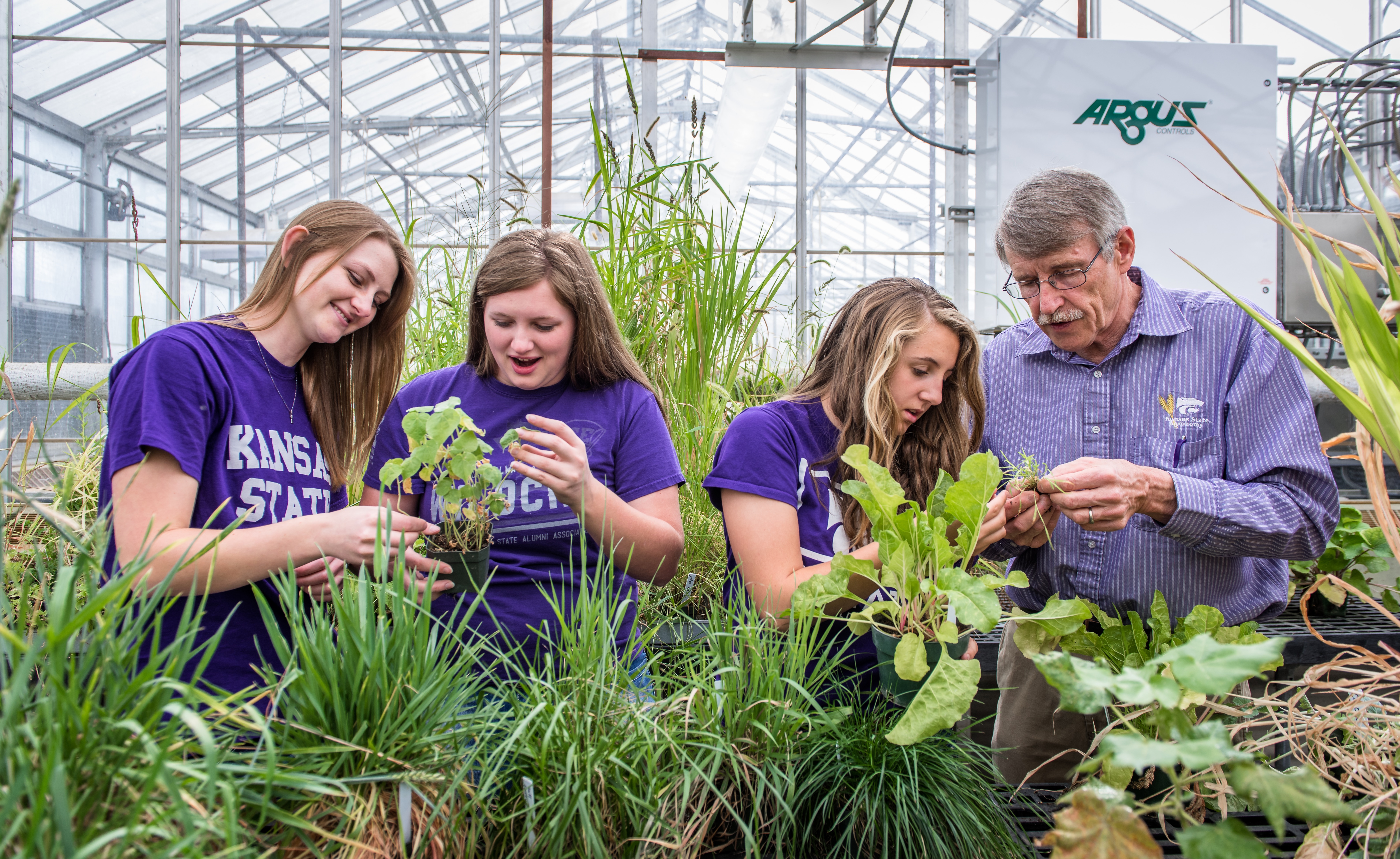 KSU College of Agriculture: A hub for hands-on learning
