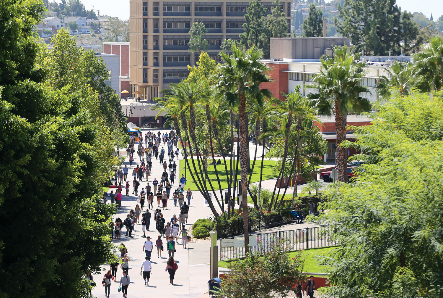 California State University: Receive a Transformative Education in Sunny California