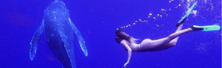 Law student a hit on social media for stunning photos with ocean creatures