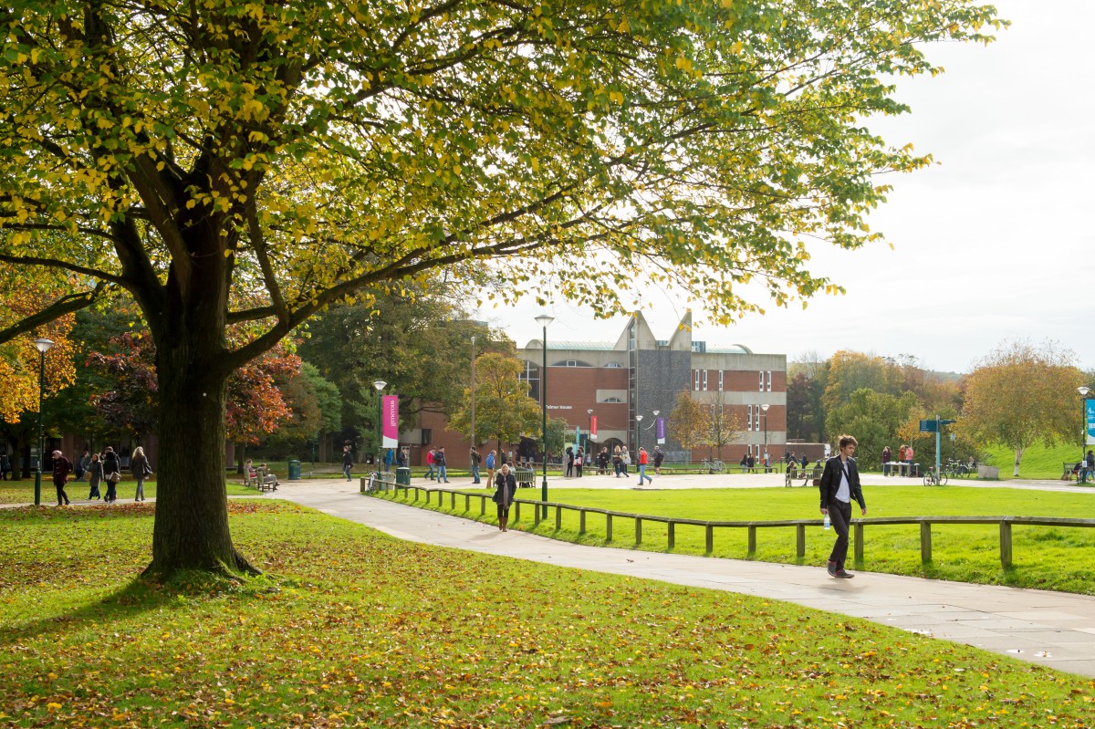 Первые кампусы. Кампус. Seward Park Campus. Linnaeus University Campus. Университетский парк кампус Америка фото.