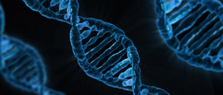 University of California files appeal over CRISPR patents