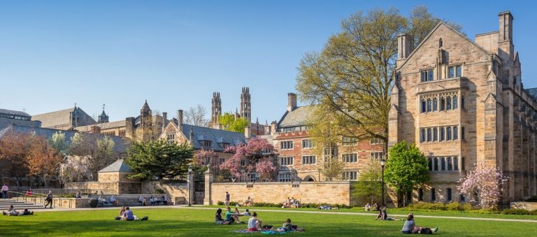 Yale grad students’ hunger strike can’t turn tide for labour