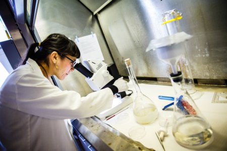 Degrees without borders: The rising demand for public health graduates