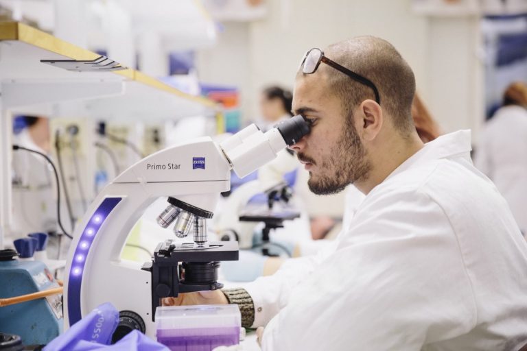 Umeå University: Advancing Science through 5 strong research environments