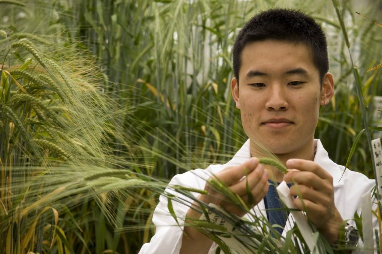5 global universities to study the Environment and Agriculture