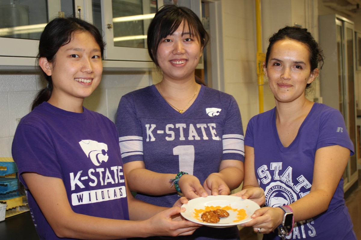 K-State College of Agriculture: Where professional focus blends with industry experience