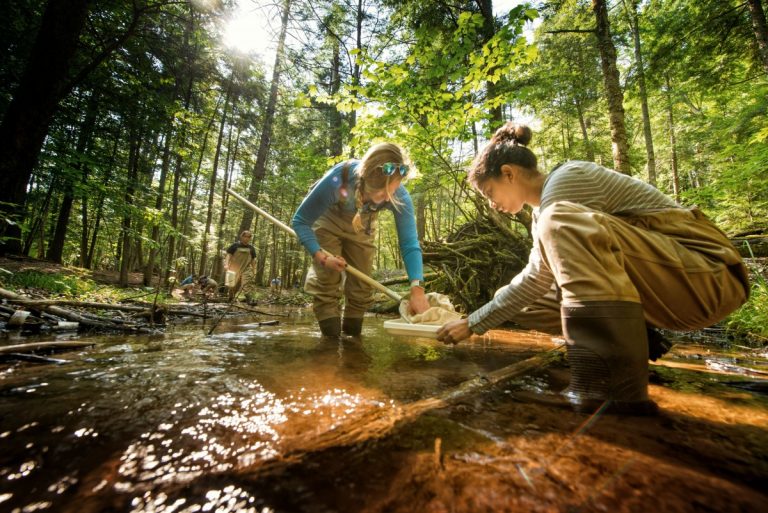 Universities that produce the next generation of Environmental advocates