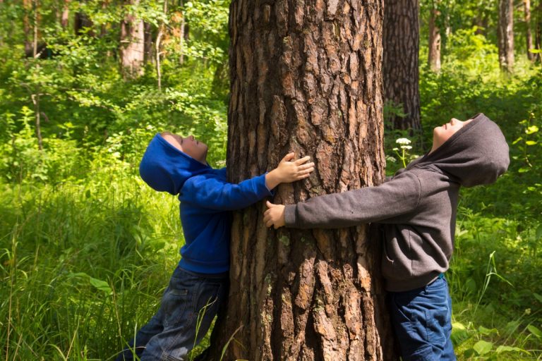 5 things children learn at forest school they wouldn't learn in the classroom