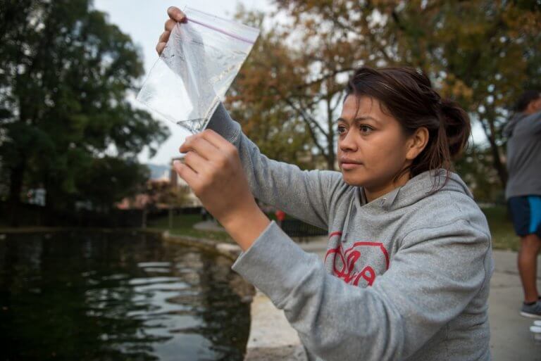 Excel as an environmental professional with these leading institutions