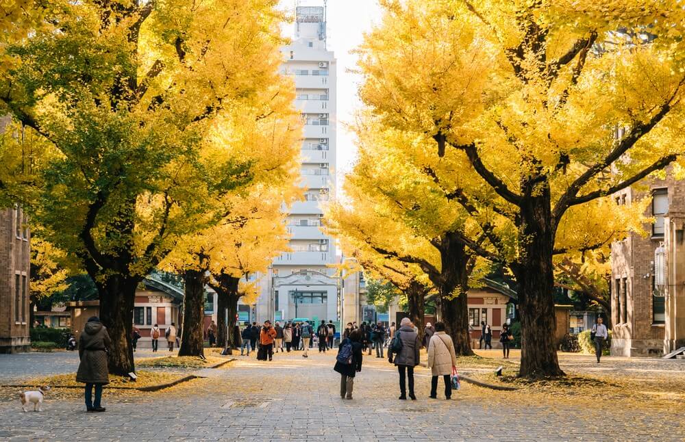 The 5 best universities in Japan - Study International