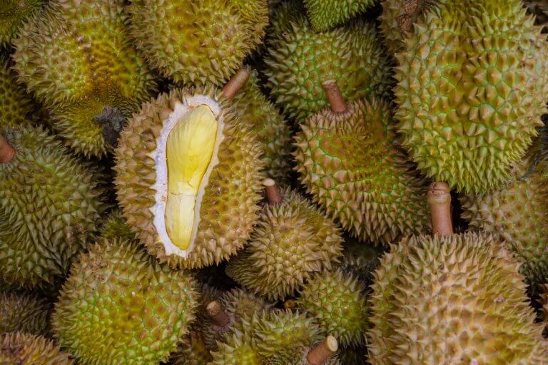 RMIT students evacuated in Melbourne over stinky durian