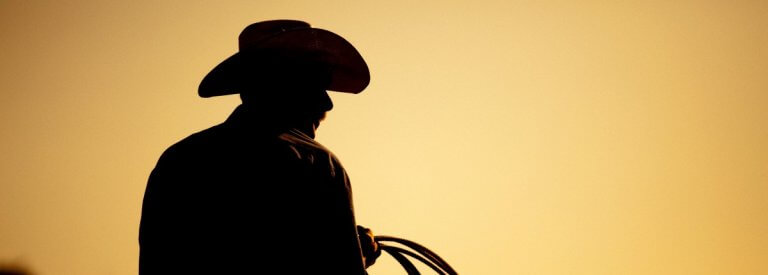 'The world needs more cowboys': Would you go to a university with this slogan?