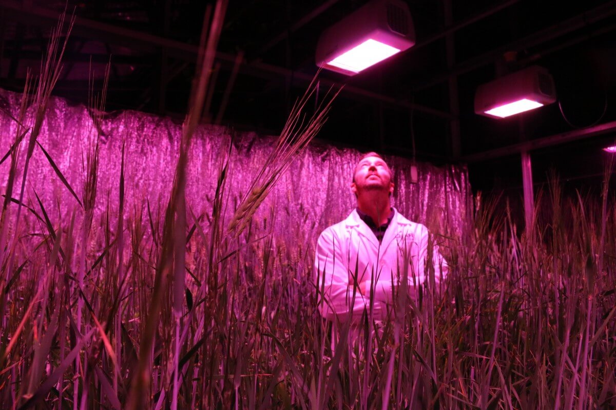 Space-age crop breeding innovation at The University of Queensland