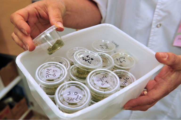 Flying high: Universities are preparing students for future careers in the cannabis industry