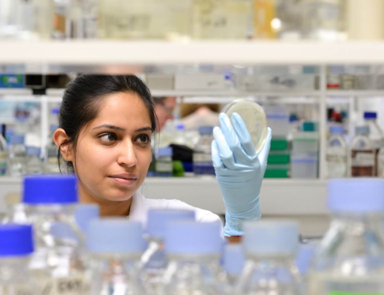 International student stories: Studying at Sussex’s School of Life Sciences
