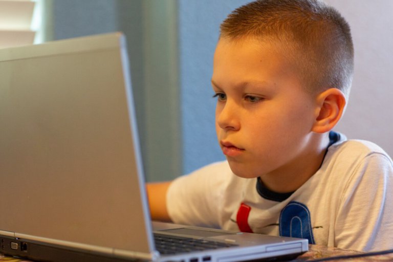 Are virtual schools the new home school in the US?