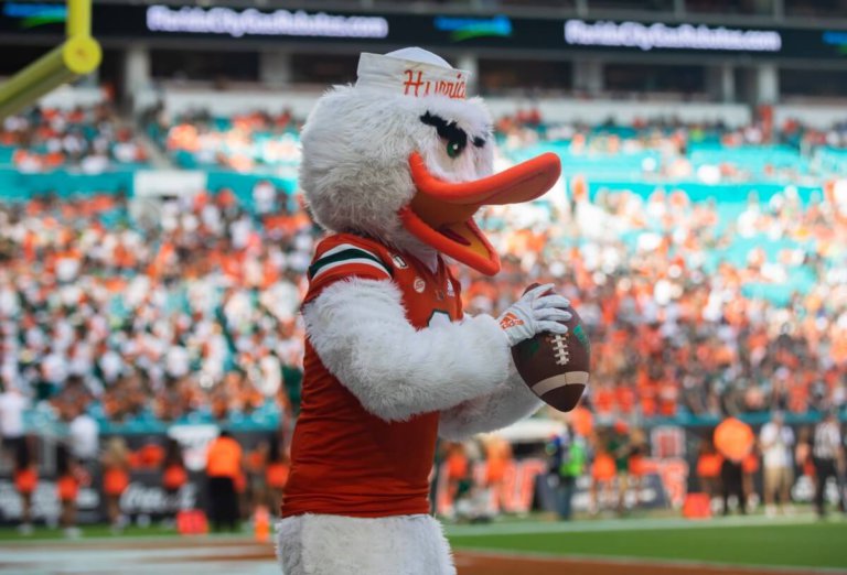 Quiz: Can you guess which US universities these mascots belong to?