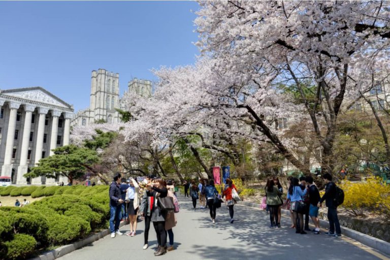 Why international students should consider studying in South Korea