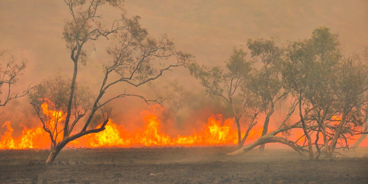 australia bushfires