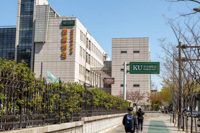 South Korean universities