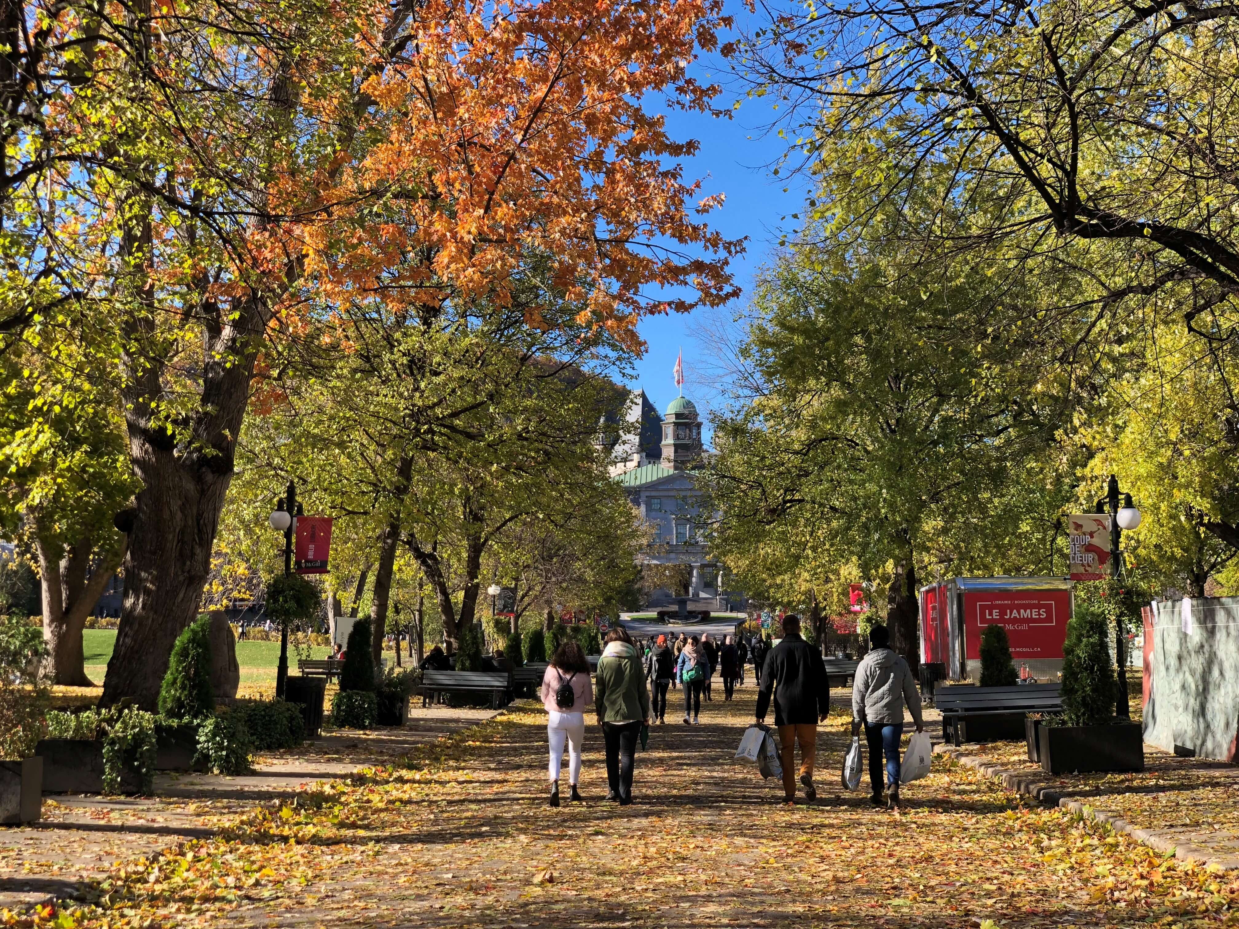 Selected Canadian Universities Are Reopening To International Students