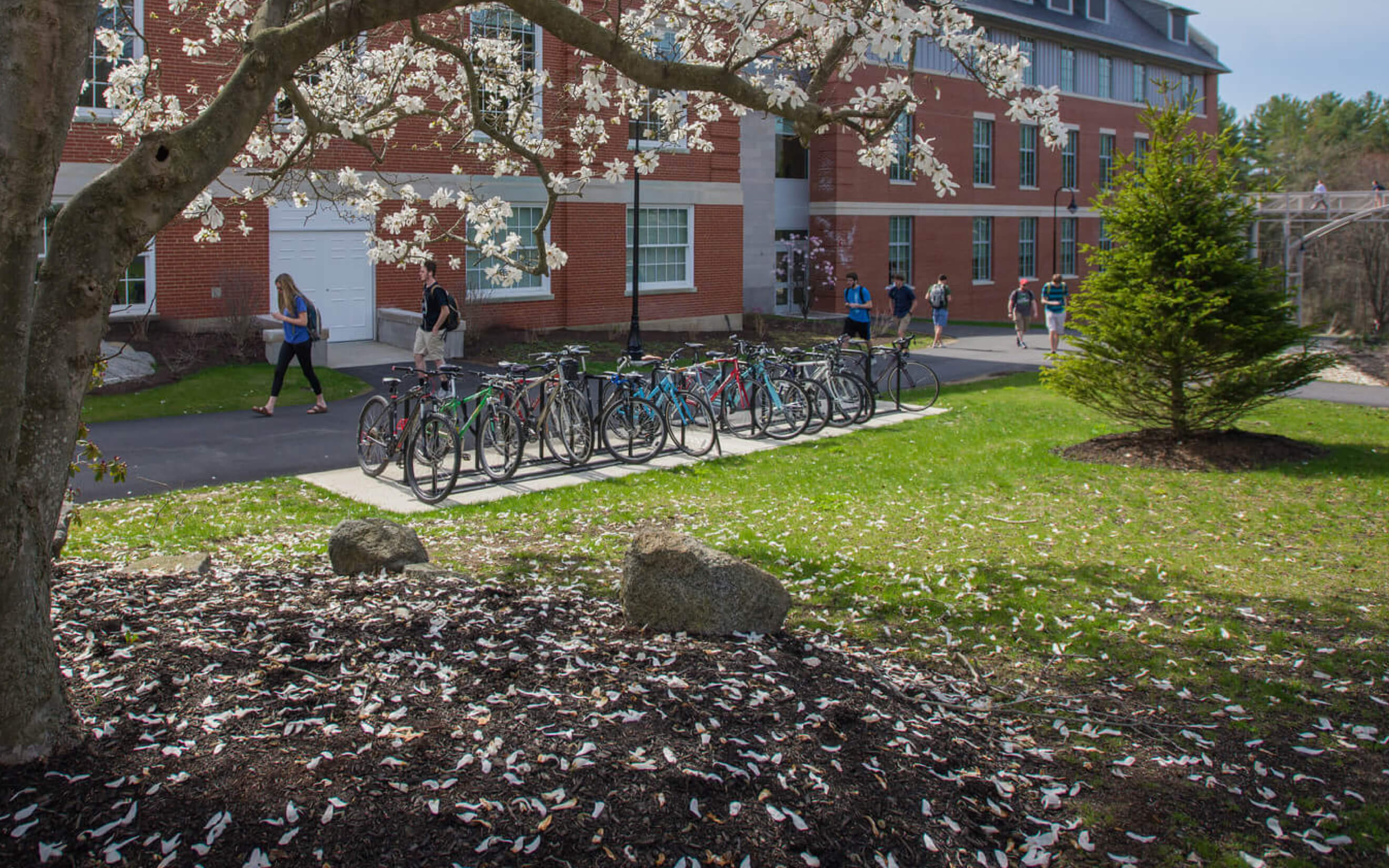 University of New Hampshire: Industry-ready, career-driven graduates  