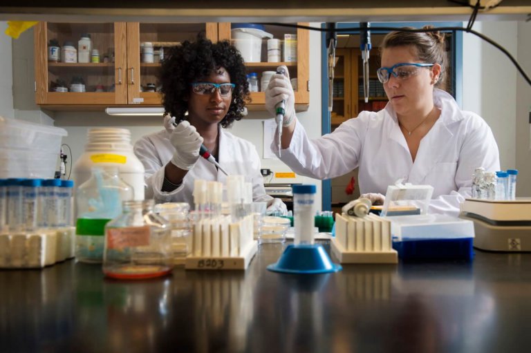 Northeastern University: Developing scientists the world needs