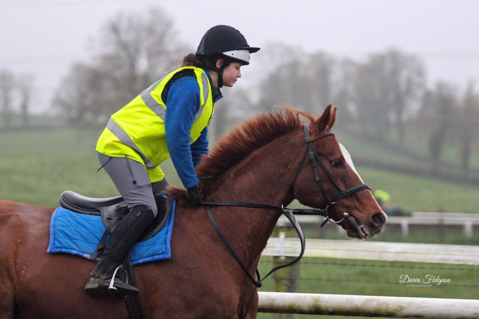 What it's like studying at the UK's top equine college