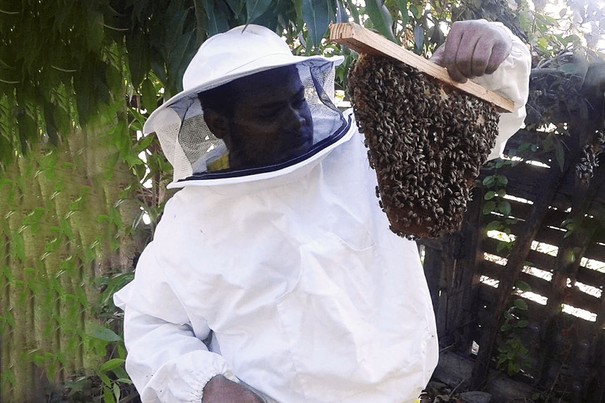 Meet the Jamaican beekeeper embarking on a quest to Wales