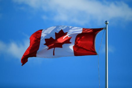 So, your Canadian study permit application was rejected. What’s next?