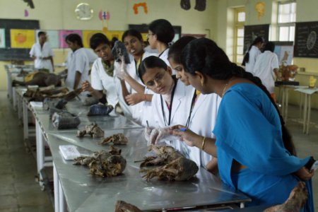 Indian medical students looking to transfer out of Ukraine deterred by language barrier, cost