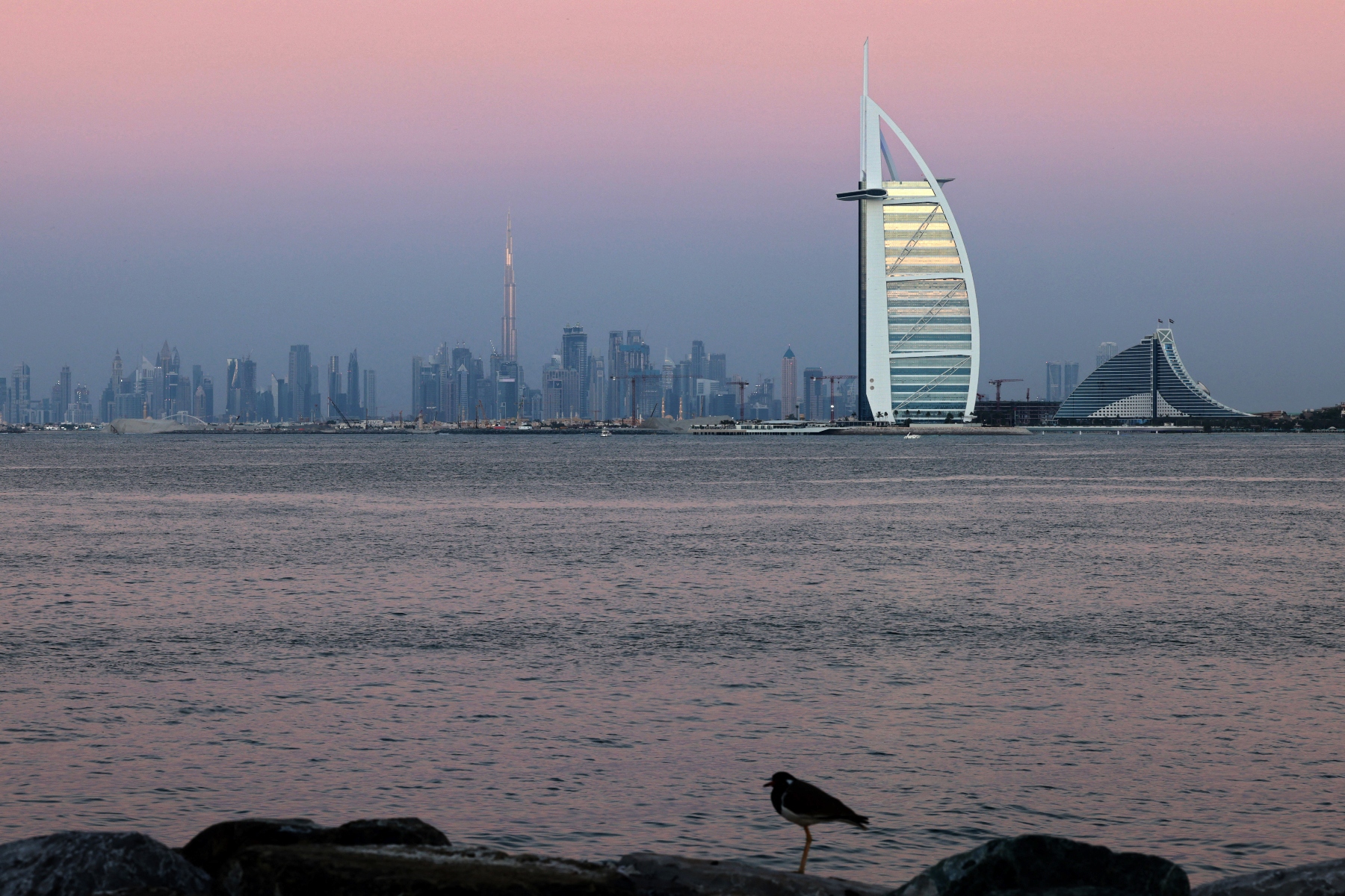 Here's why the UAE's appeal as a study abroad destination is growing