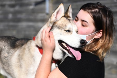 Online sessions with therapy dogs can help students feel less stressed