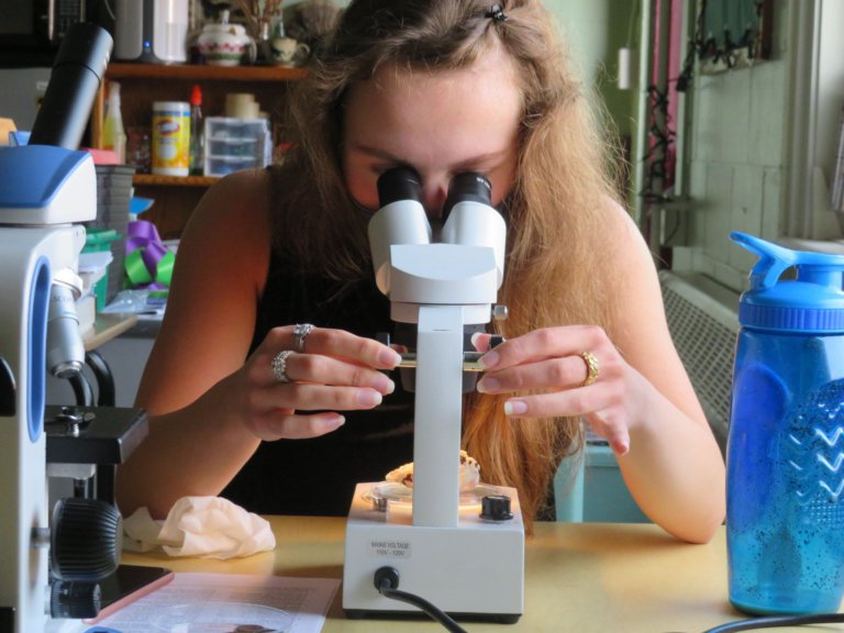 Washington Academy: Signature programmes that lead to personalised success