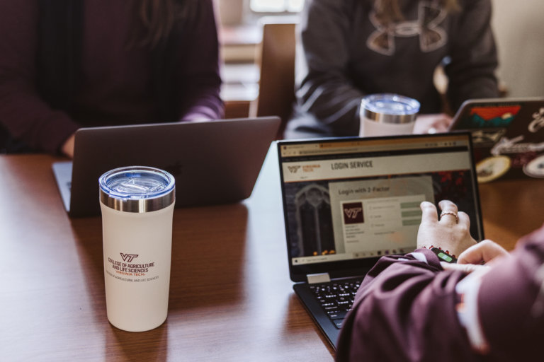 Virginia Tech: Where tomorrow’s agribusiness leaders are made