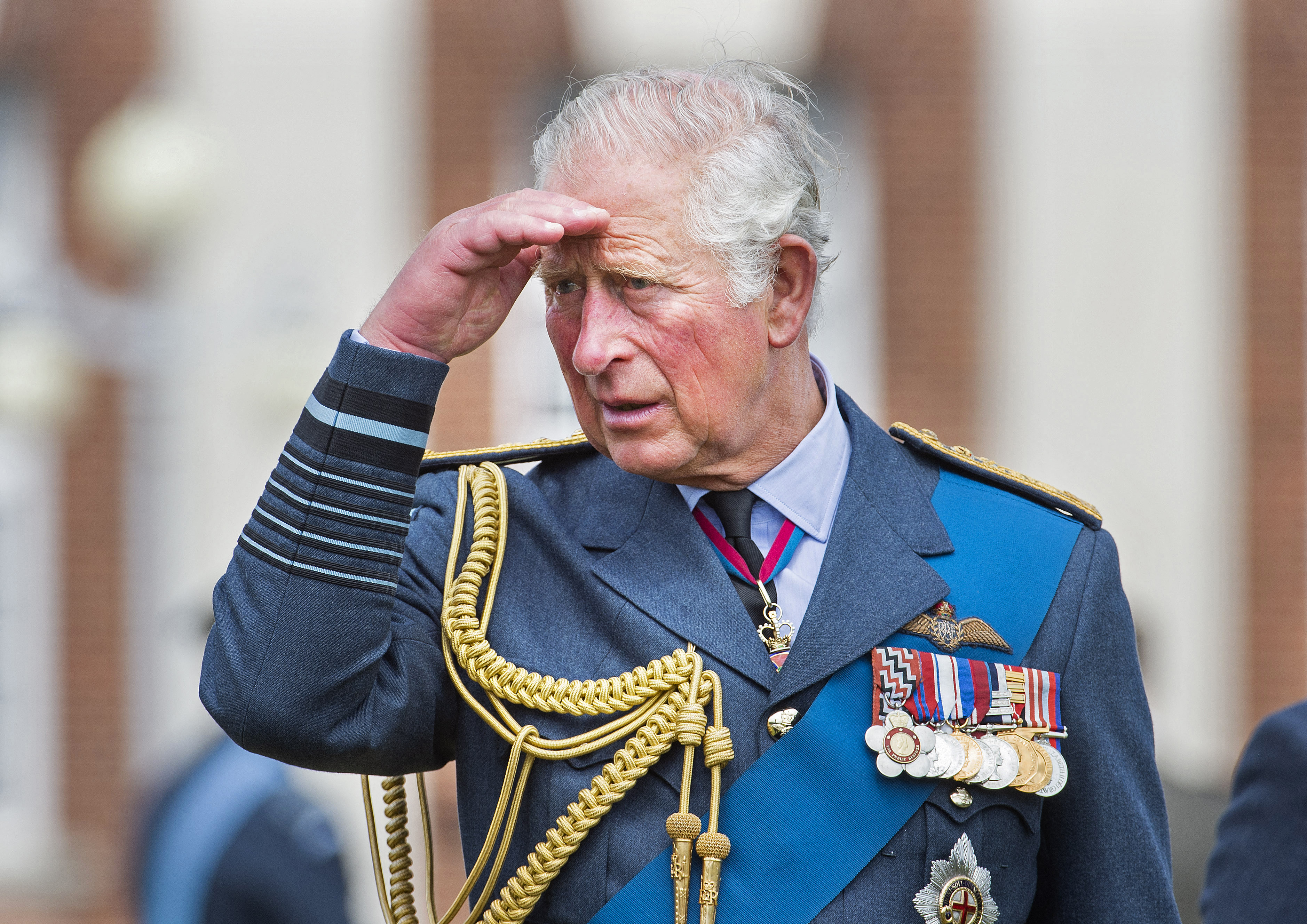 Where did the royal family go to uni?