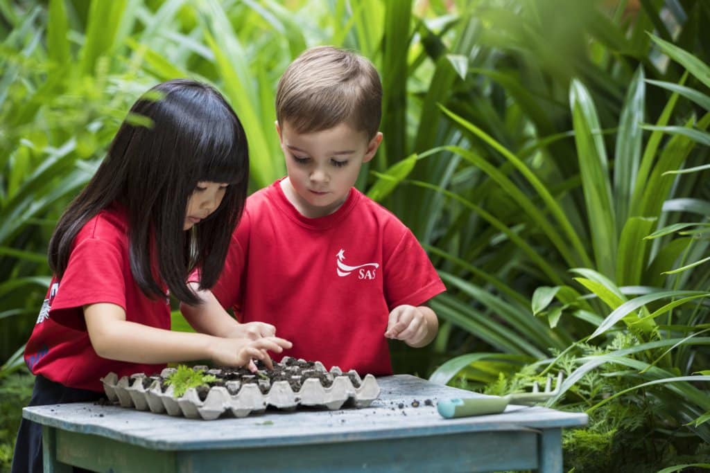 Singapore American School: Where young children become unique, capable, and curious learners