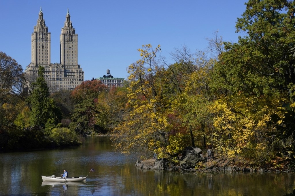 5 free things to do in New York City for the broke student