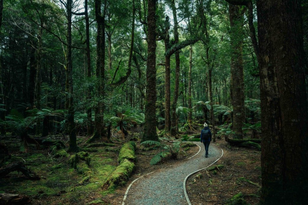University of Tasmania