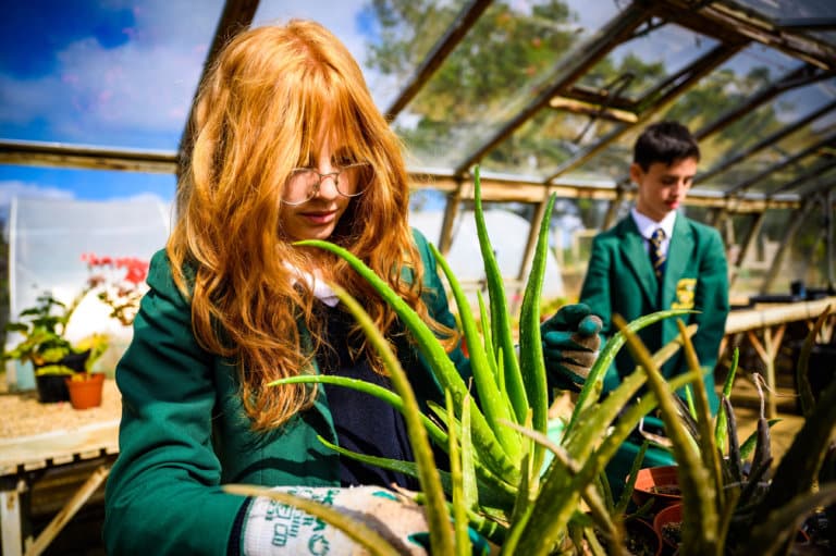 Sibford School: Where international students can find quality English language programmes