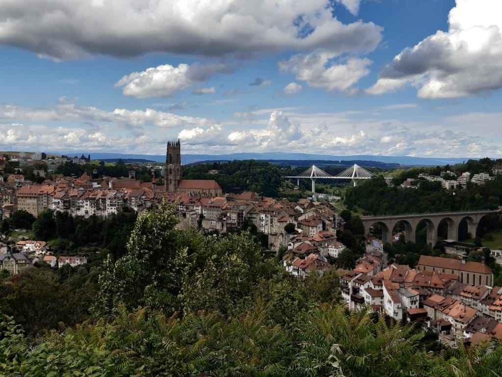 university of fribourg phd vacancies