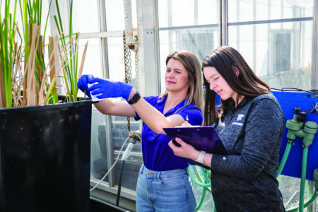 3 global leaders in biological and agricultural engineering