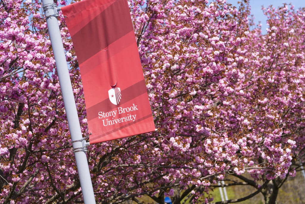 Stony Brook University: Leading the way in political science education