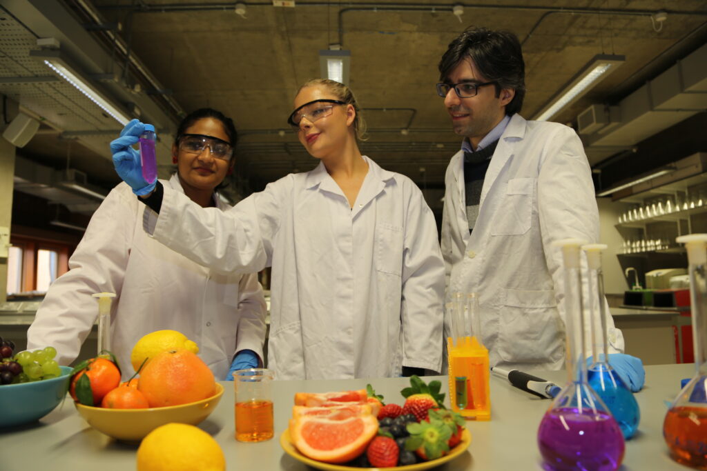 University of Limerick: Creating food science and technology leaders for a sustainable future