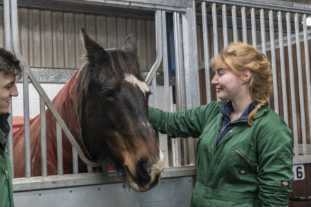 3 world leaders of veterinary science