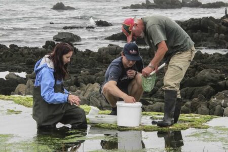 4 global leaders creating tomorrow’s scientific greats